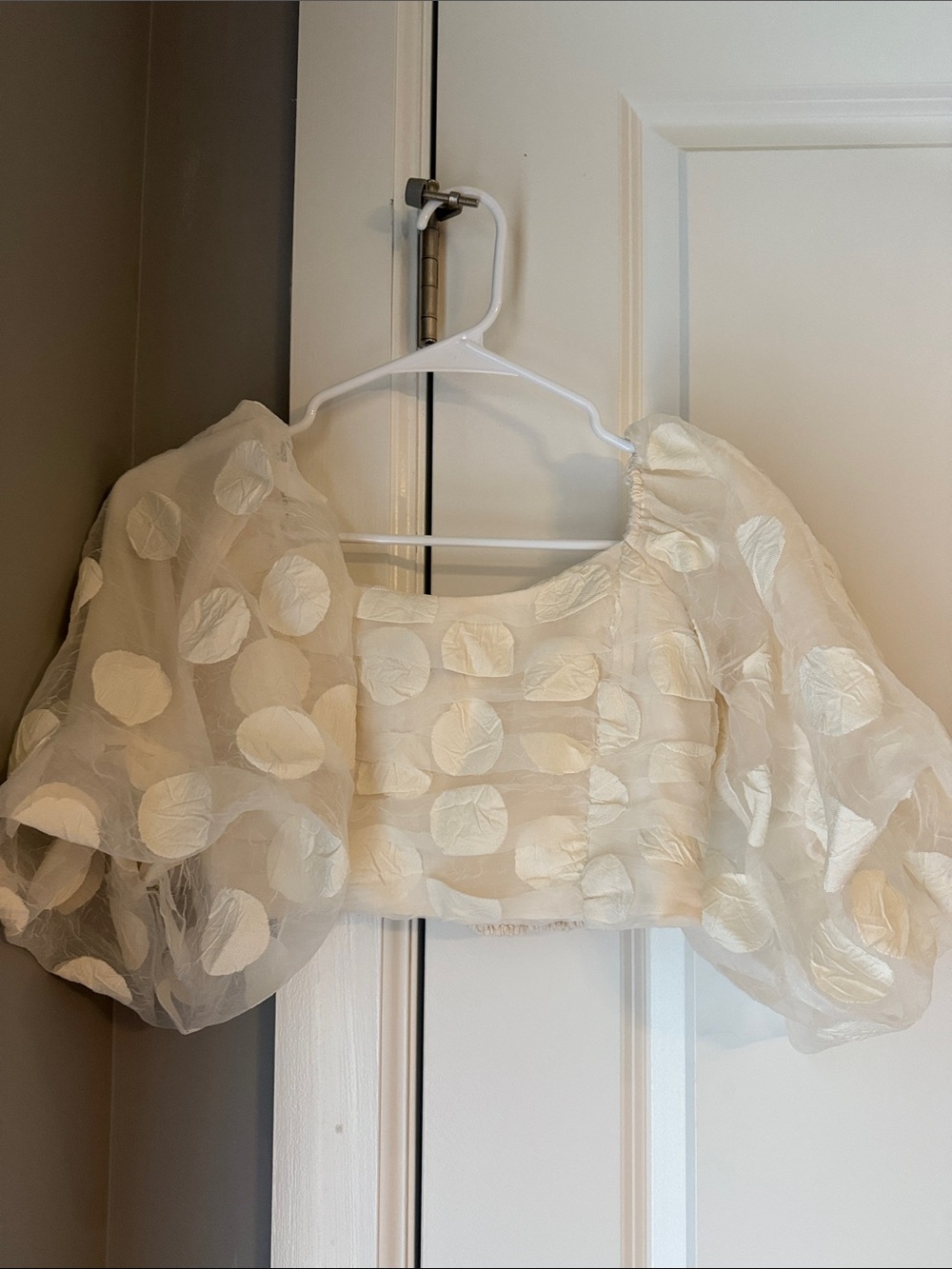 Zara Ivory Sheer Textured Dot Puff Sleeve crop Top